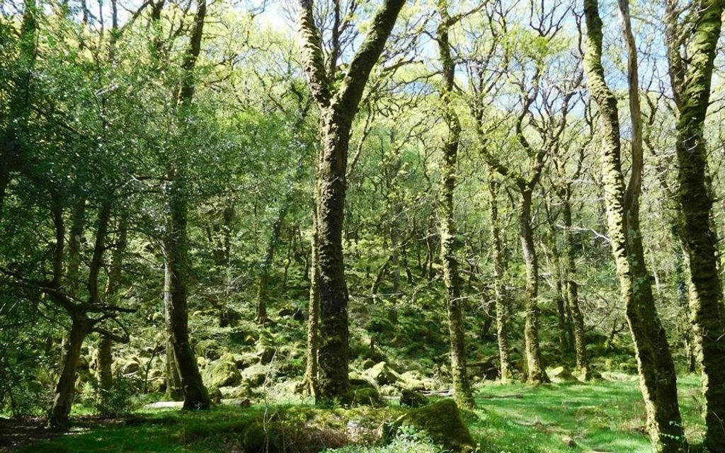 Breathing Space