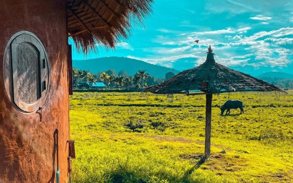 Mala Dhara Eco Resort & Organic Farm