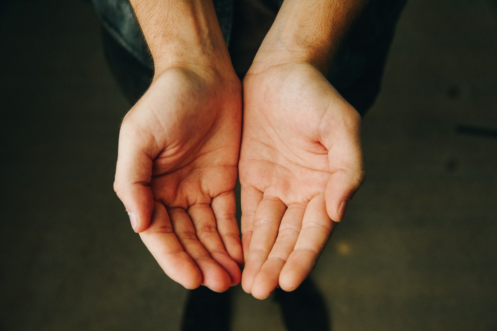 Two open hands, palms up