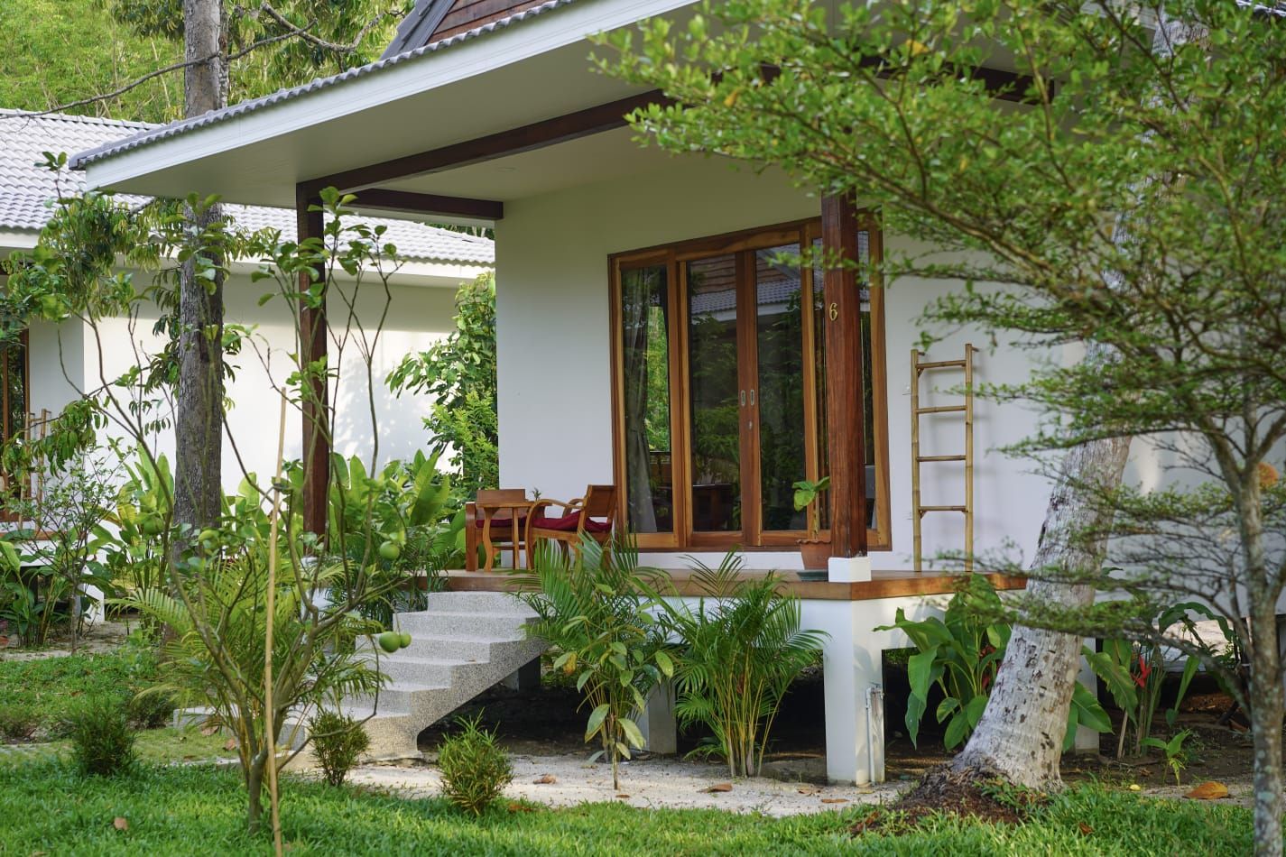 Asclepius Detoxification Method · Koh Phangan