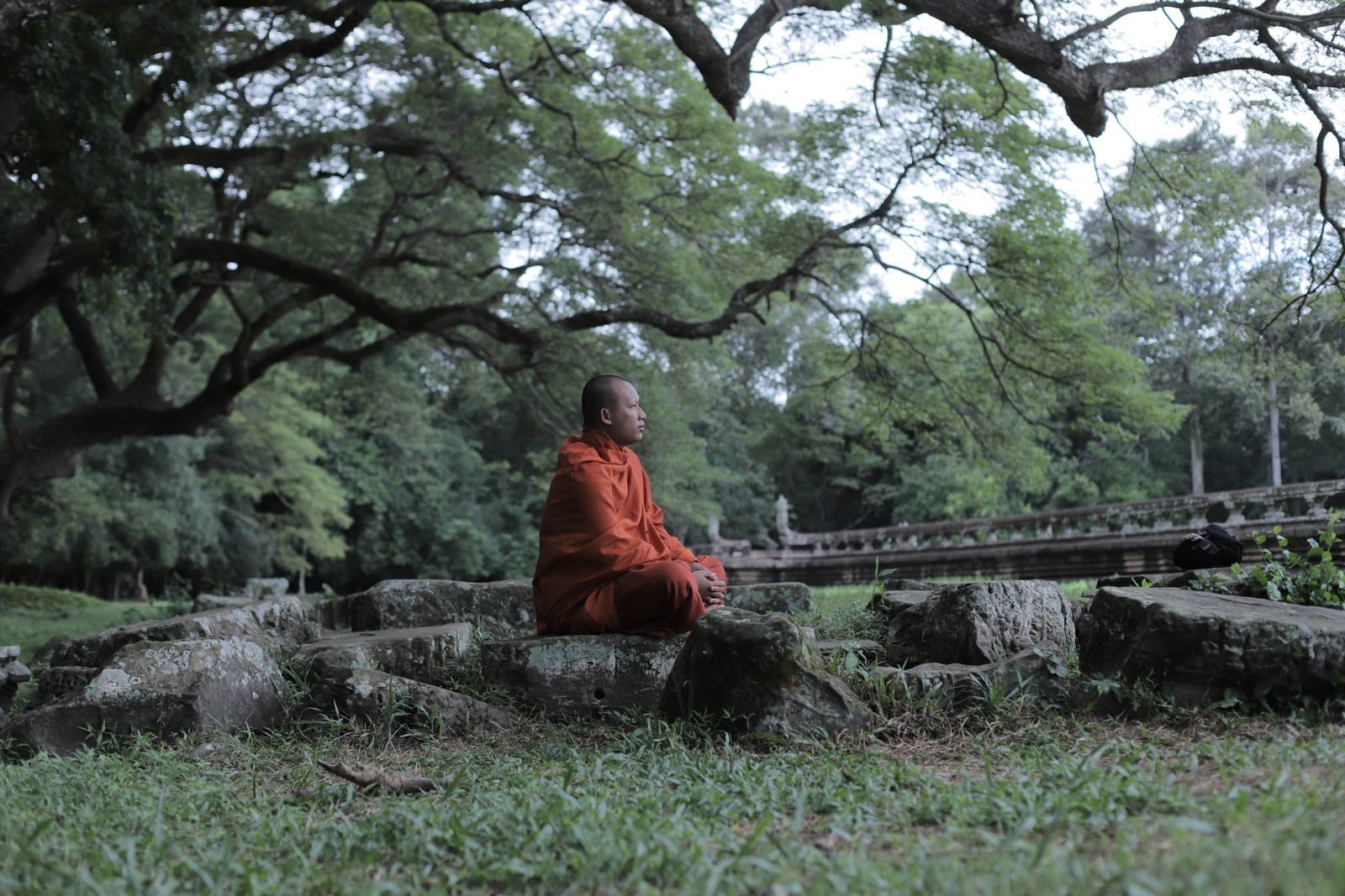 A monk sitting among old stones and trees